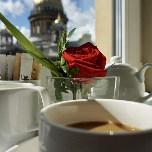 Photo #5824376