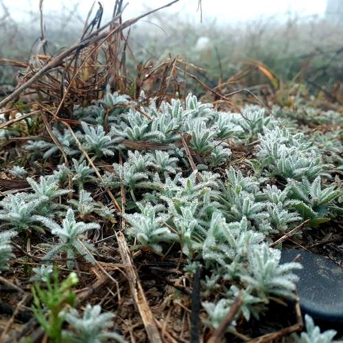Photo #5824407