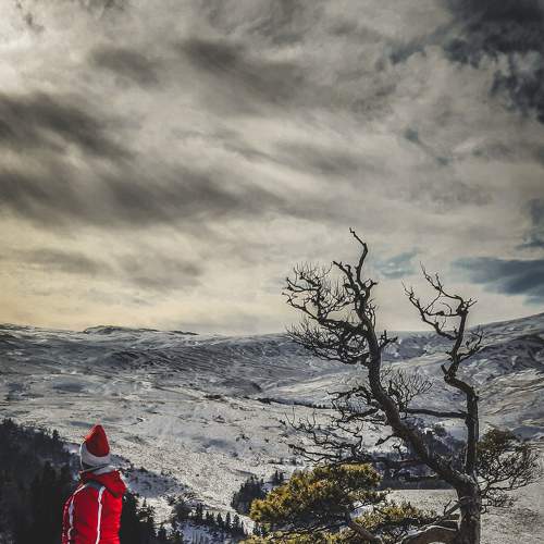 Photo #5824471