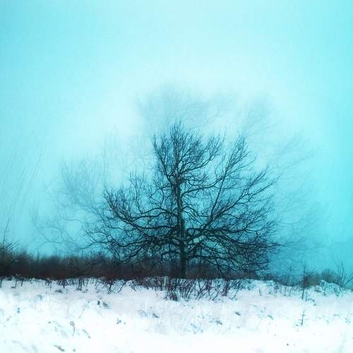 Photo #5824630