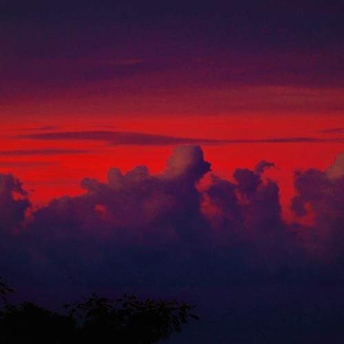 Photo #5824644