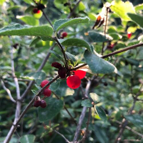 Photo #5824965