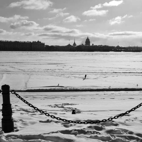Photo #5824986