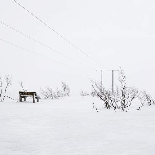 The sound of silence.....