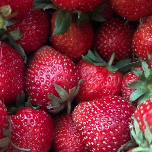 Photo #5825218