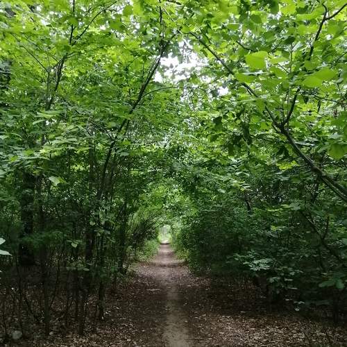 Photo #5825267