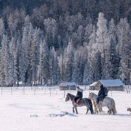 Photo #5825373