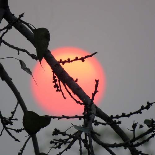 Day time beauty
