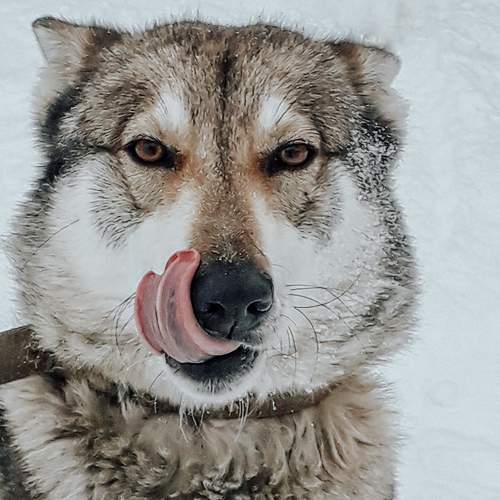 Photo #5825679