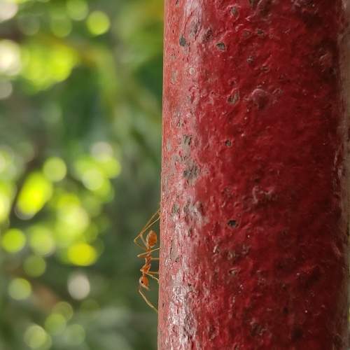 Photo #5825746
