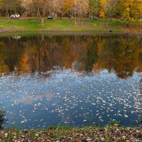 Photo #5825858