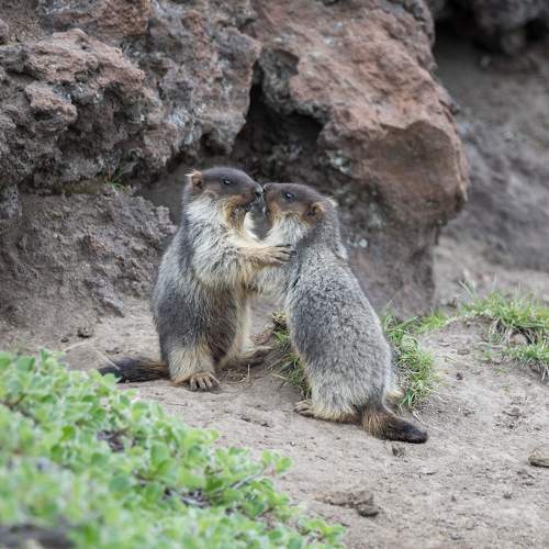 Photo #5825871
