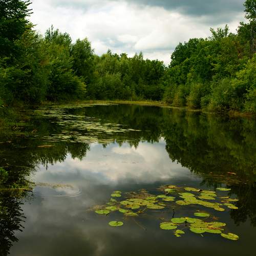 Лукоморье