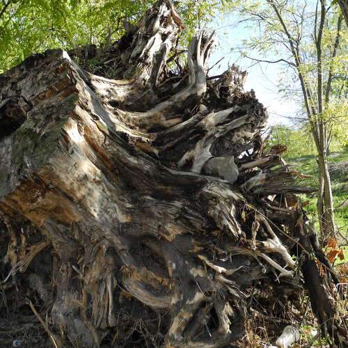 Photo #5826130