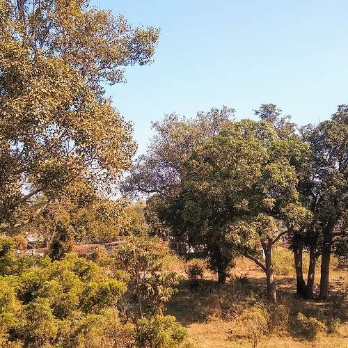Photo #5826340