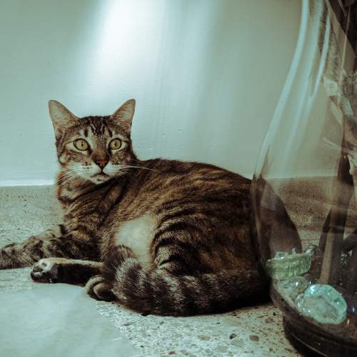 Photo #5826355