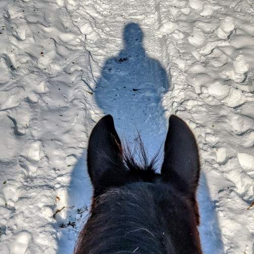 Photo #5826361