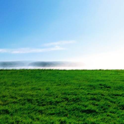 Photo #5826456