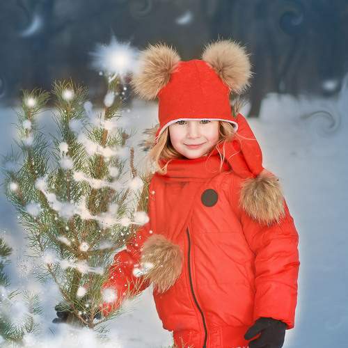 Photo #5826618