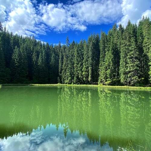 Photo #5826670