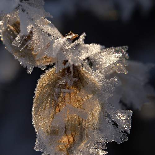 Photo #5827003