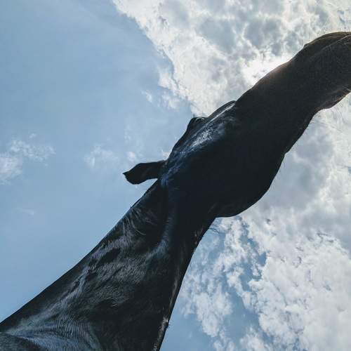Photo #5827017