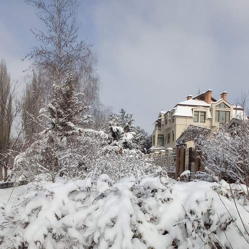 Photo #5827042