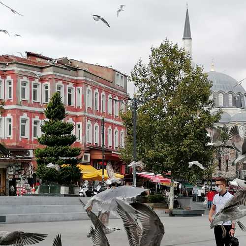 Photo #5827053