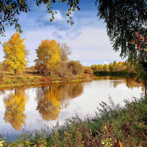 Палитра осени.