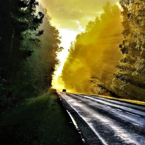 Photo #5827146