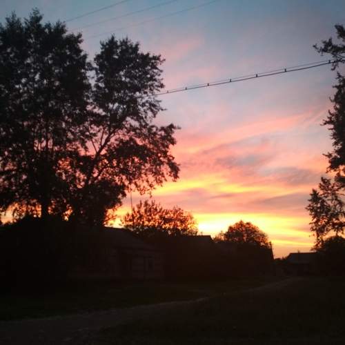 Photo #5827526