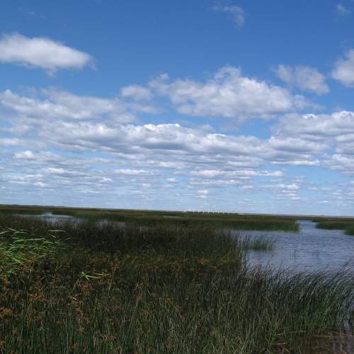 Photo #5827547