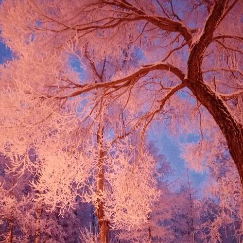 Photo #5827578