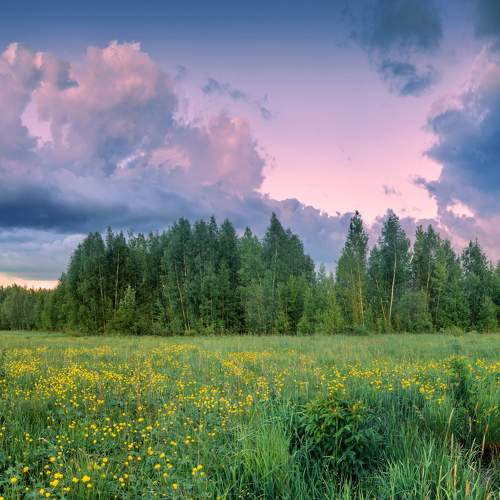 Photo #5827632