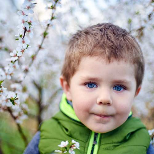 Photo #5827736
