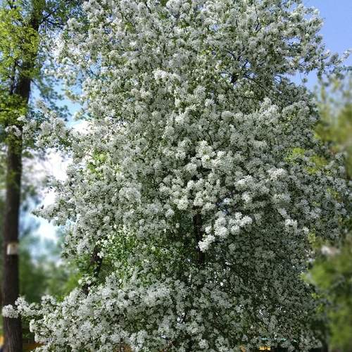 Photo #5827919