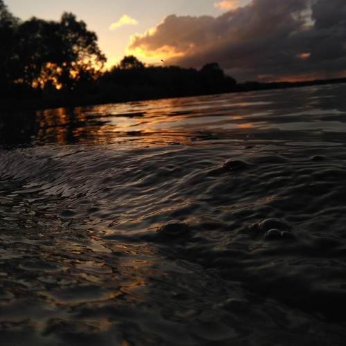 Photo #5827948