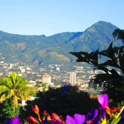 Photo #5828179