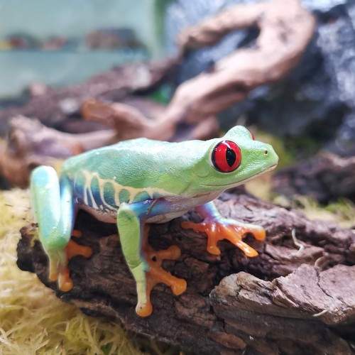 Photo #5828249