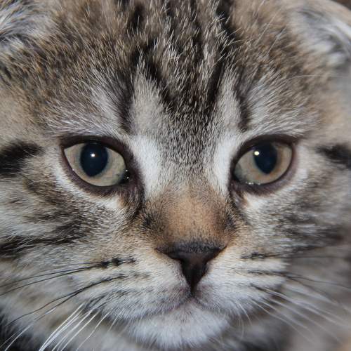 Photo #5828282