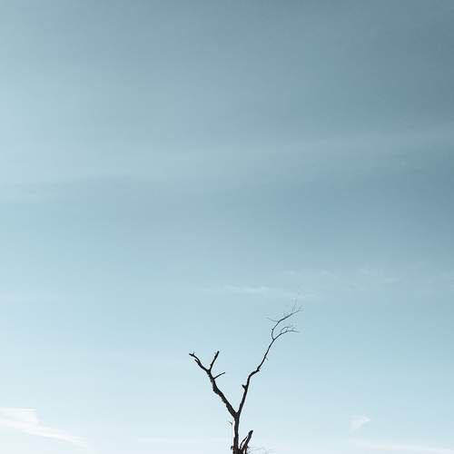 Photo #5828352