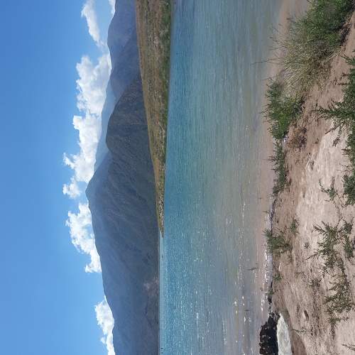 Photo #5828370