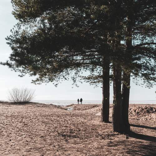 Photo #5828372