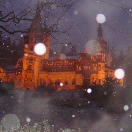 Photo #5828429