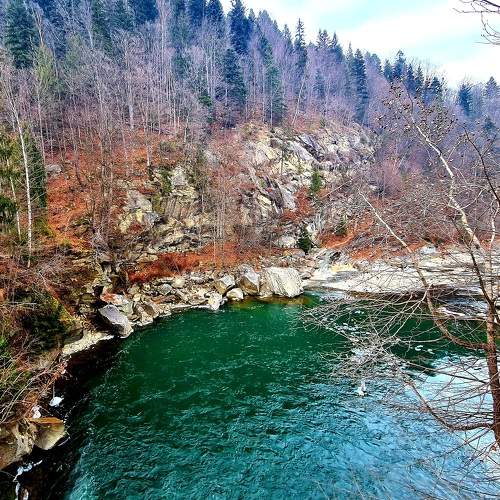 Photo #5828470