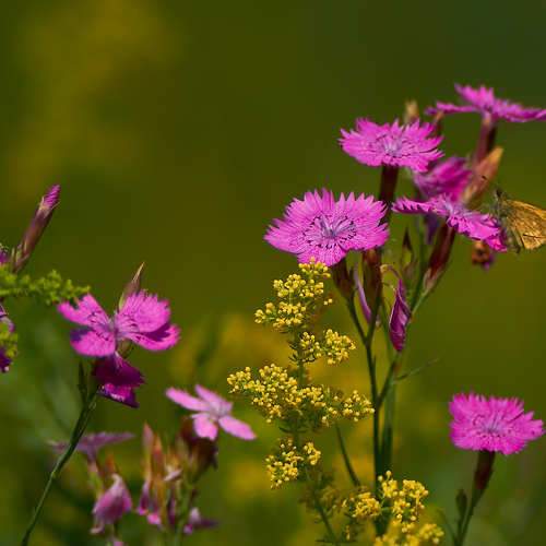 Photo #5828473
