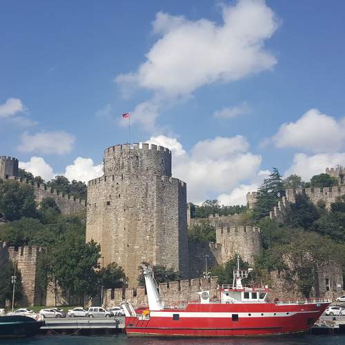 Photo #5828491