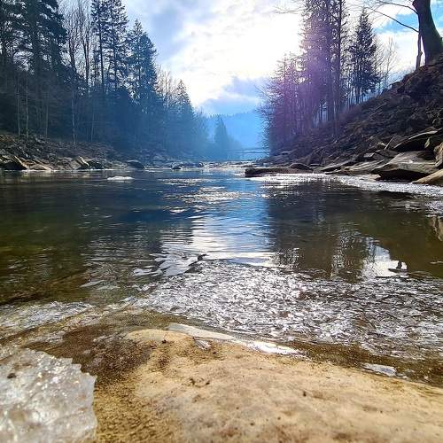 Photo #5828498