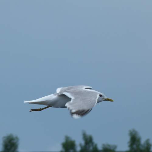 Photo #5828640