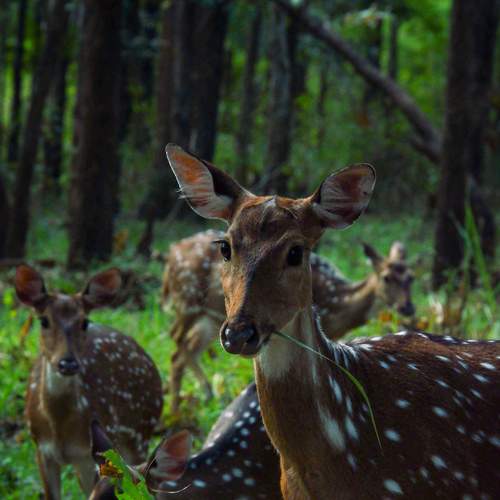Photo #5828653